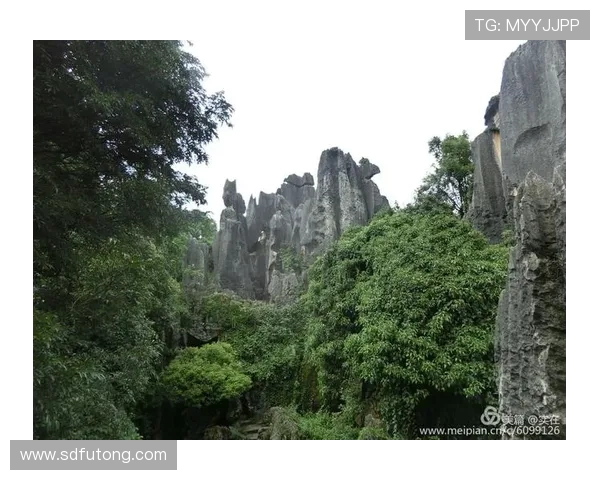 TES逆袭之旅揭秘:从低谷到巅峰的职业联赛传奇故事 TES逆袭之旅揭秘:从低谷到巅峰的职业联赛传奇故事