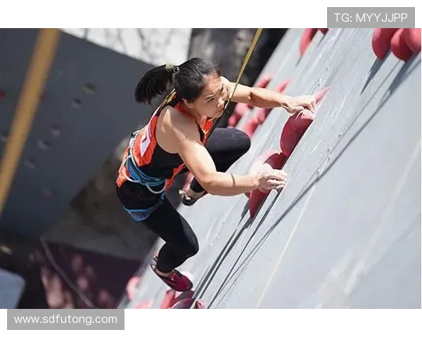 北京攀岩队个人能力引发热议争议背后的训练与选拔机制分析