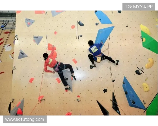 成都攀岩队在世界攀岩锦标赛中以81分稳居积分榜首位