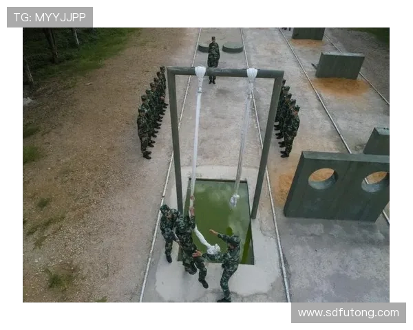 杭州飞盘队心理素质分析与表现研究探讨