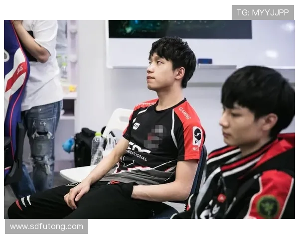 独家解析RNG战队协作机制与其他战队的差异与优势