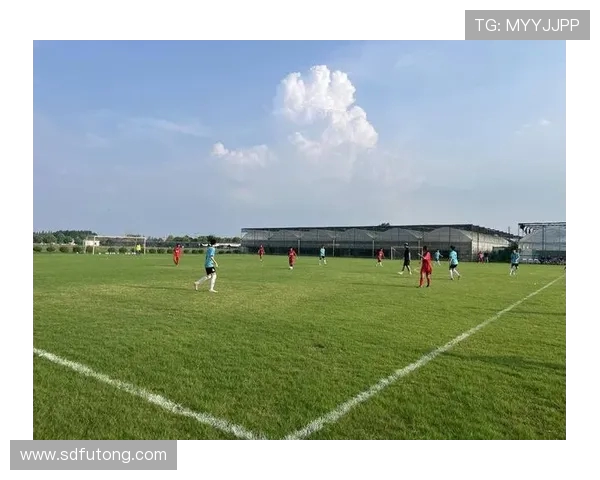 赛后分析南京足球队与西安足球队球员个人能力的对比与总结