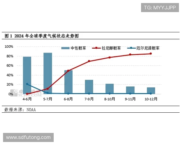 塔什干与阿赫利比赛前瞻分析及胜负预测展望