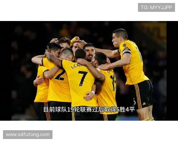 狼队与布伦特福德对决前瞻分析及胜负预测详解