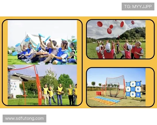 飞盘热潮下的杭州飞盘队团队协作新模式探索与实践