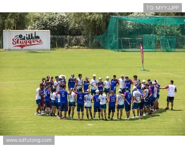 飞盘赛场新风潮北京飞盘队凭借经验夺冠成焦点 飞盘赛场新风潮北京飞盘队凭借经验夺冠成焦点