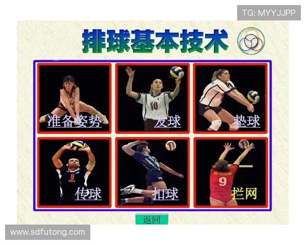 杭州排球队整体压制战术解析与排球热点探讨