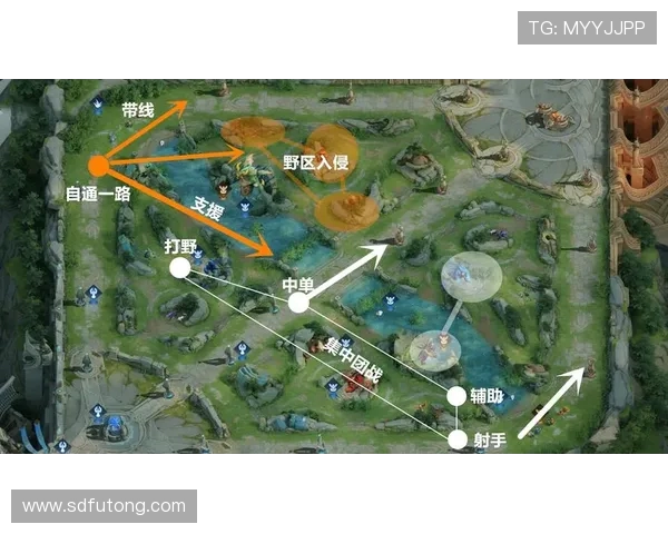 王者荣耀战术深度解析：WE战队的制胜秘诀与策略探讨