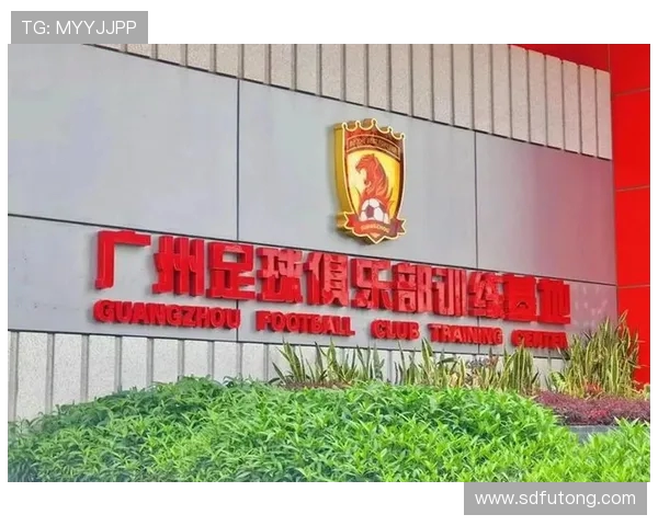 广州排球队技术分析与战术创新探讨助力球队发展与提升